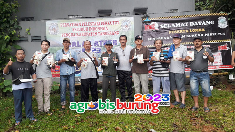 508186d3-a4a9-4dc8-86a2-bc7b96483caa