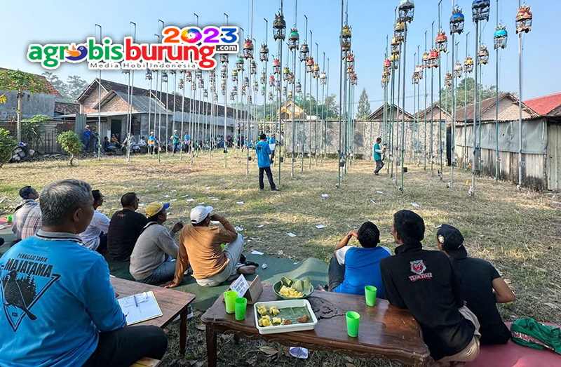 0b7e557f-4bf8-48f5-bb26-2fb9bb10d0b8