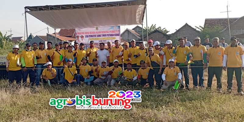 eeec1aed-e271-4b35-a2f9-8a23b121dde5