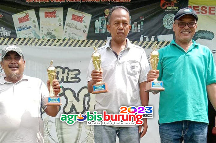 Juara dewasa yunior.