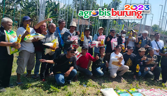 eb2357d2-491e-4d90-a125-1e587a1a1028