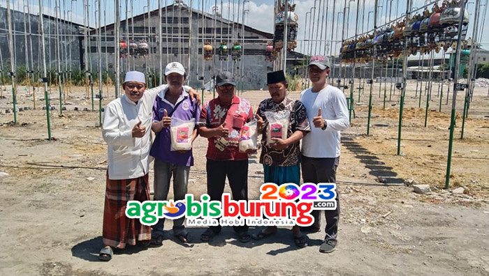 ae45898a-b5d0-421a-be0e-54c93b710aed