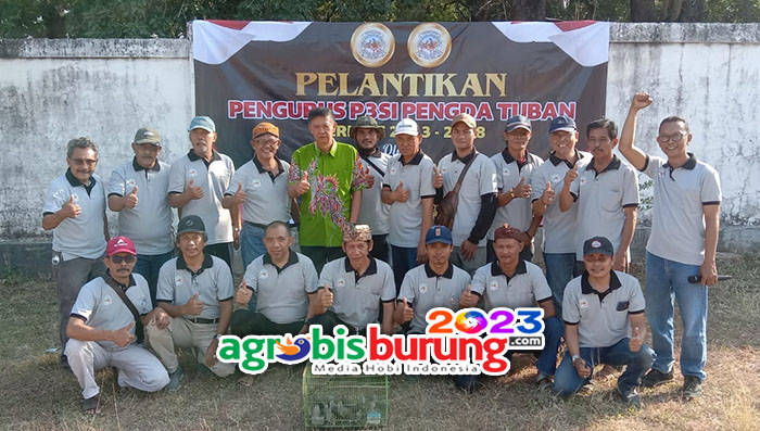 ed85cede-695d-43c1-ae83-90a079f335f4