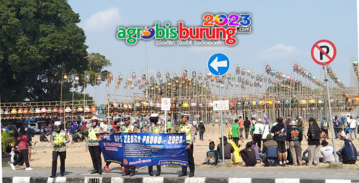 9f3799b5-308a-4915-9560-0b128f13605d