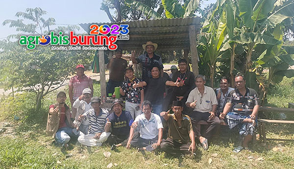 aa705f3b-4706-4692-8f4e-3a5be81d65d1