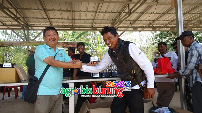 Juara 1 piyik yunior, Baginda.