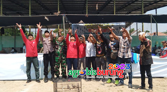 b0dbbd97-1db1-42b6-a03e-e19f75d5dabf