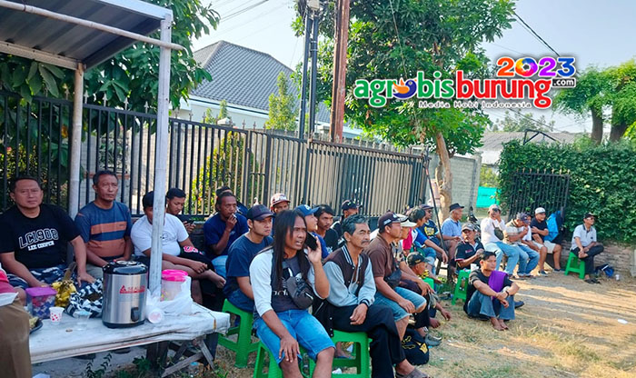 b56f5899-042d-4359-aa88-a6c241fb7041