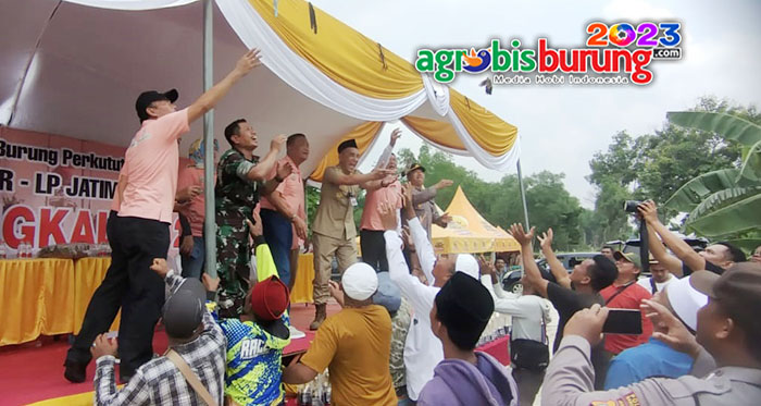 285d7713-4330-4556-9ffd-12b4b75d0c33