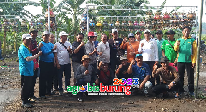 3d48affe-cfea-4ff2-8303-a5f9099563cf