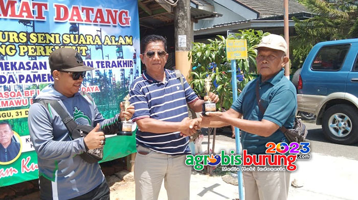 907d783b-d9cc-4baa-81da-92a01ad458ec