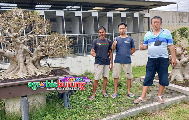 WA crew didepan kandang Z1 indukan Begal Cinta.