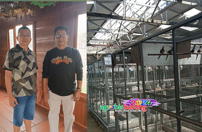 Kandang baru Prosper 1234 BF.