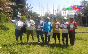 piyik bebas jember agro