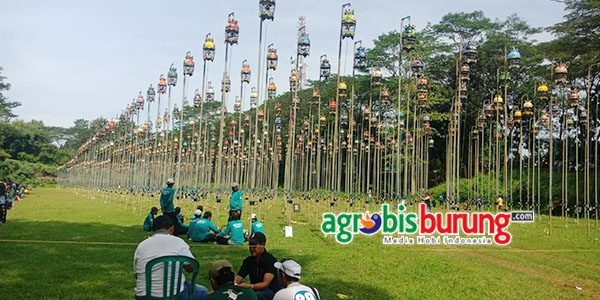 2f69d353-ff6e-4ac1-ba25-47137647c2e9