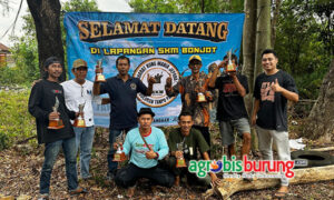 577a1685-e332-48a4-bfd6-df0b62bd8e01