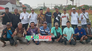 86d17ccc-b311-49aa-9680-9bd0d65beb89