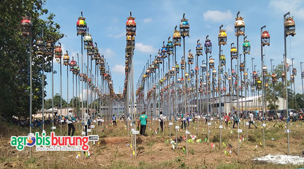 9b85c422-20cf-4a4d-b877-05dbcff30f0d