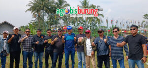 Maung Bandung moncer.