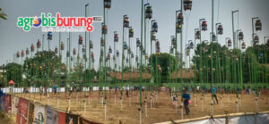 bbcc15ad-ea6b-4d37-828d-8f7cd33e5992