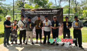 c34122e6-3c2b-4575-86c4-0f010fa5a273