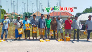 94269294-bc9b-46d5-b89b-acd7bccc5e02