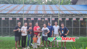 IMG-20240710-WA0038 copy