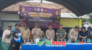 b21210a6-c16b-4b68-b8ec-527d11051c62