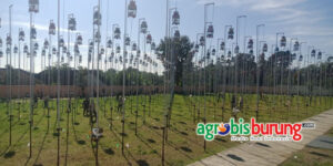 ca2d34d7-389c-420a-a615-ac07c031d6b1