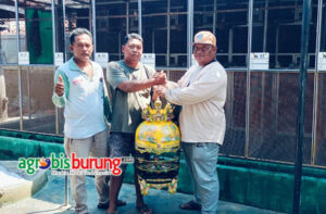 fc7085d5-b995-4b52-a9cd-e3e244c1040d