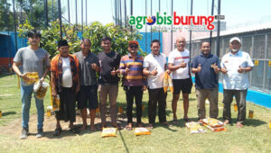 16d246b8-1a84-439a-a780-72ac7285edd3