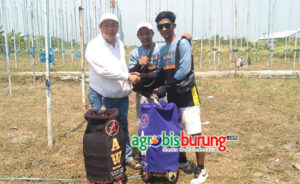 3d03f8c6-02a9-4c5a-a6b4-2acee06e74d0