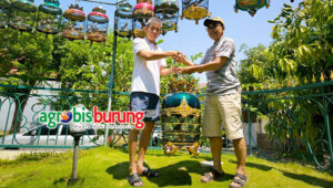 5430ccdd-d603-4878-a0a8-647971b5ff5a