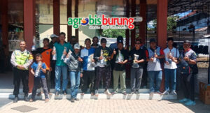 6eae37dc-f24a-4faf-b27d-cd4077367d33