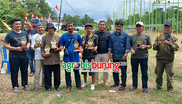 Juara dewasa bebas.
