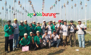 c601ede4-4416-42d4-9095-7bc1a1b44be3