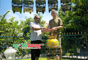 e8d7c0e2-e9d3-4a8d-b8f9-b6744104fda0