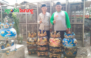 95f058e0-ad2b-4aad-b142-9ad1c2125f04