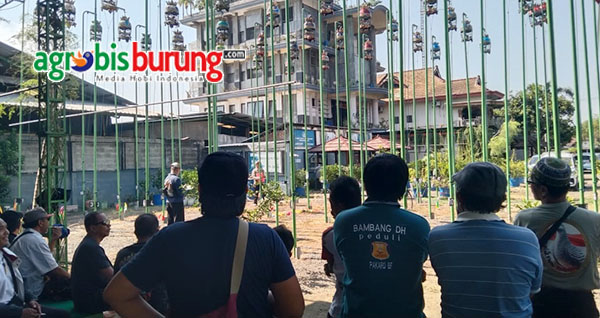 b018366d-b7dd-4bf2-9247-4ab8e67e8789 (1)