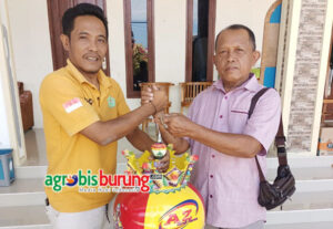 b5634383-7853-4fac-ac4d-75beea7268ca