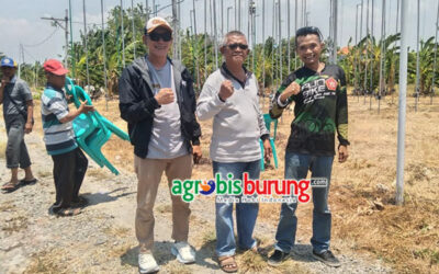 cee9084a-c8a6-4820-b7e0-7ab7e4367eea