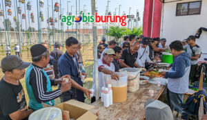 d04e0b0f-5a3e-421c-a8df-c87c5c12d402