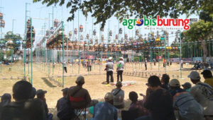 d86d2830-01d1-4d0d-9770-ea7871dfcd51