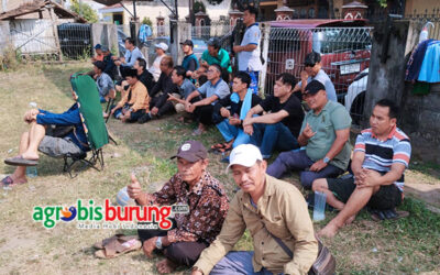 d9081002-a524-4c2f-874b-73f92991004c