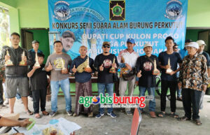 10914f50-dd46-480a-be82-98d4b7b2a1be