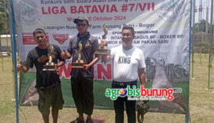 8970f249-50f7-4e1c-be4a-492595e1aa08