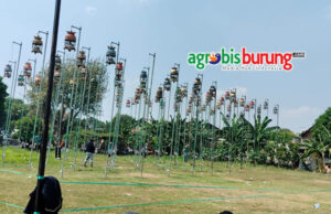 afd3e250-2f81-40c3-ac9c-49f5e552f210 (1)