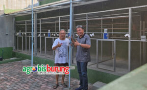 c74fae17-996c-4db7-ba15-7bf19a533559