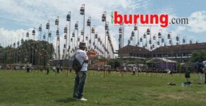 4572ad70-728f-4d31-b2a0-a9a640fc46e0