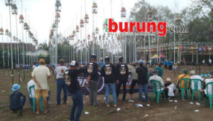 5d4eb59a-7d45-4d51-ab03-1afcfb4d929c